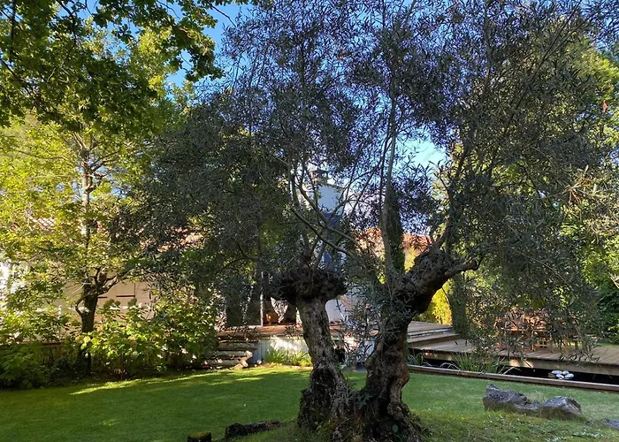 L'esprit D'o Villa *