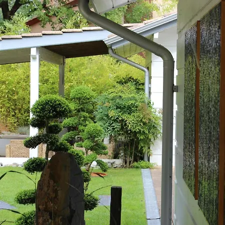 L'esprit D'o 라카노오세앙