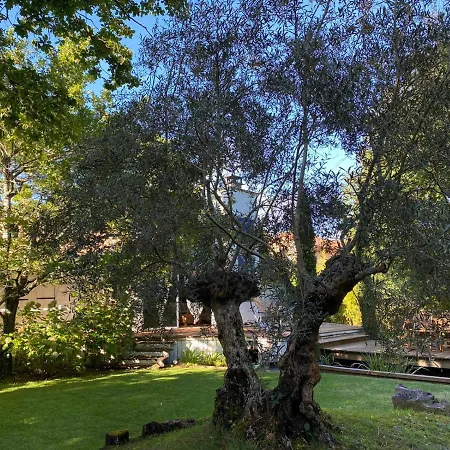 L'esprit D'o 빌라 *