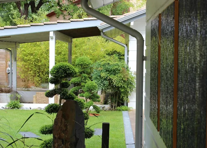 L'esprit D'o Lacanau